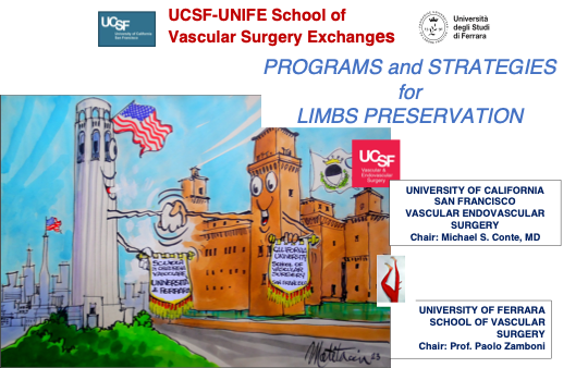 Programs and Strategies for Limbs Preservation Programs and Strategies for Limbs Preservation