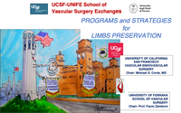Programs and Strategies for Limbs Preservation